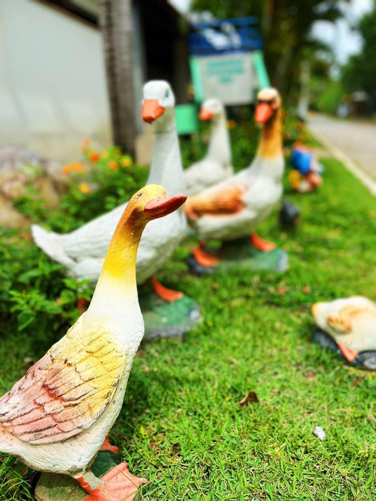 Pousada Jovimar อาปาเรซีดา ภายนอก รูปภาพ
